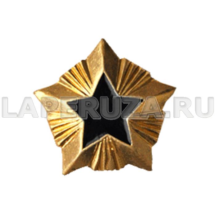 Звезда Госслужба, среднего состава, 20мм, золотая, металлическая